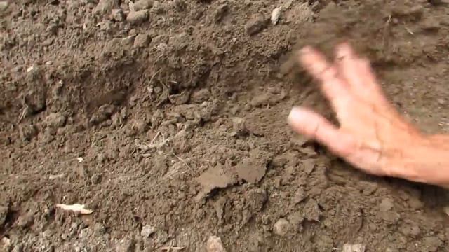 Back To Eden TRANSFORMATION: Seeds and Succession Planting смотреть онлайн