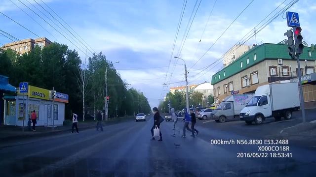 Голубь переходит дорогу смотреть онлайн