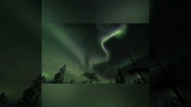 Тронуло. Про важное. Для каждого. ЧЕЛОВЕКА 🙌🏻 смотреть онлайн
