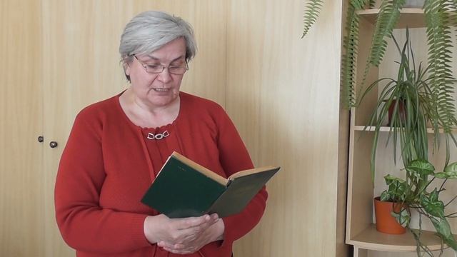 Стихотворение Константина Симонова «Пехотинец». Читает Елена Нехведович смотреть онлайн