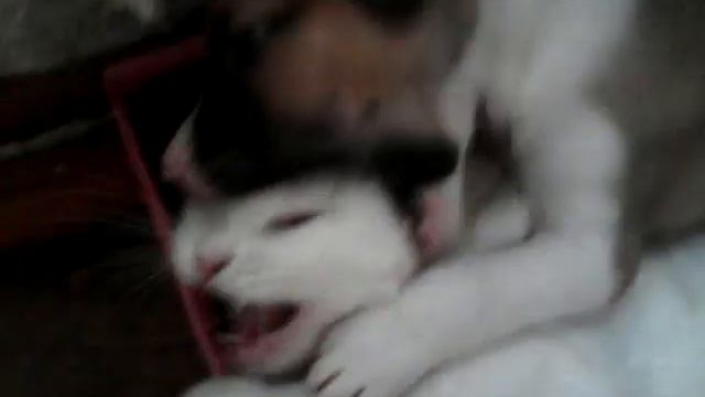 Беспощадный Рич :) аахаха смотреть онлайн