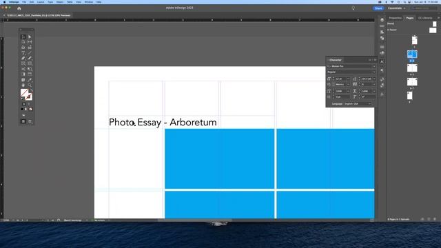 Adobe Indesign, Portfolio Basics