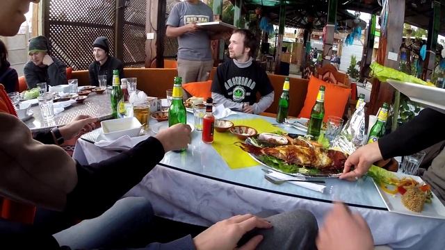 Групер Вадим и кошки Дахаба :D смотреть онлайн