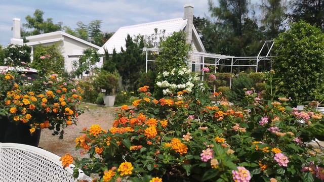Kaze Cottage Cafe' ร้านกาแฟเล็กๆริมทางหลวง คอนสวรรค์ วานรนิวาส สกลนคร смотреть онлайн