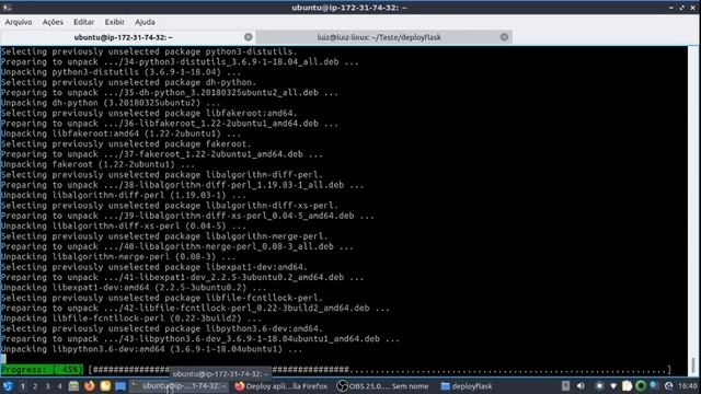 Deploy de aplicação Python com a biblioteca Flask usando as tecnologias Gunicorn e Nginx em Ubuntu смотреть онлайн
