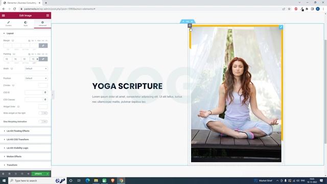 How to design partial border for image in elementor смотреть онлайн