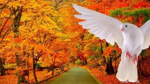 Домашние Животные  |Учим голоса и звуки домашних животных