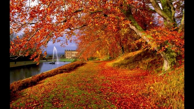 Красивая песня 