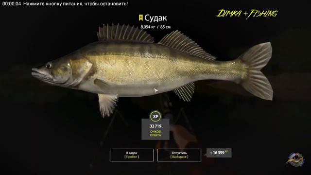 русская рыбалка 4 трофейный судак 🎣 смотреть онлайн