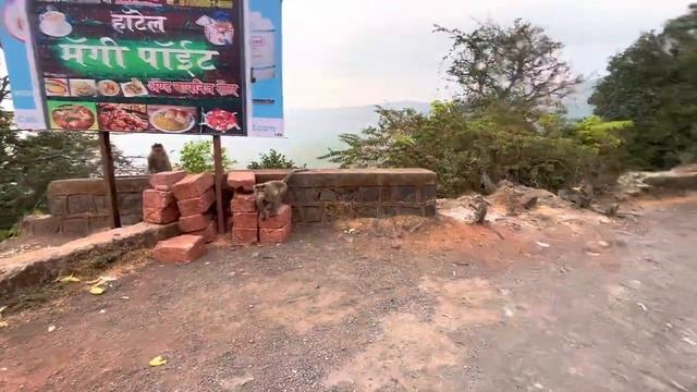 ИНДИЯ. ИЗ ГОА В ДОЛИНУ ДИКИХ ОБЕЗЬЯН. НАКОРМИЛИ ГОЛОДНЫХ МАРТЫШЕК смотреть онлайн