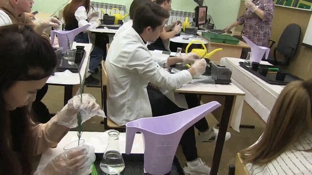 Мастер-класс преподавателя Зыковой Т.В. смотреть онлайн