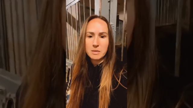 Дисплазия суставов у лошадей смотреть онлайн