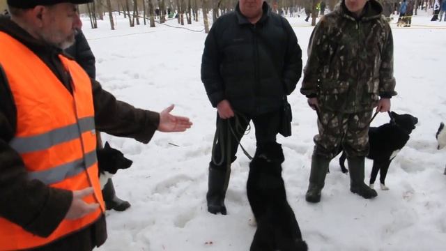 Описание сук РЕЛ средняя группа смотреть онлайн