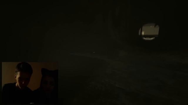 МЫ С ДЕВУШКОЙ ИГРАЕМ В OUTLAST : ЧАСТЬ 2 - БРАТЬЯ И ТРАГЕР [18+] смотреть онлайн