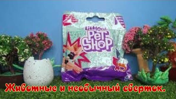 Животные и необычный сверток. Учим английский с #LPS. #Распаковка #ЛПС смотреть онлайн