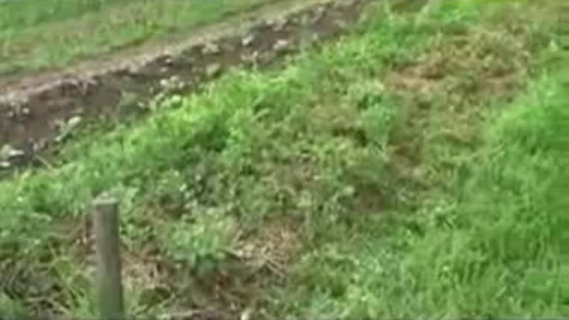 Созидательное земледелие. Секреты и советы смотреть онлайн
