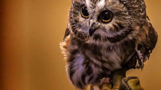 Слушать новую песню с тв онлайн смотреть онлайн