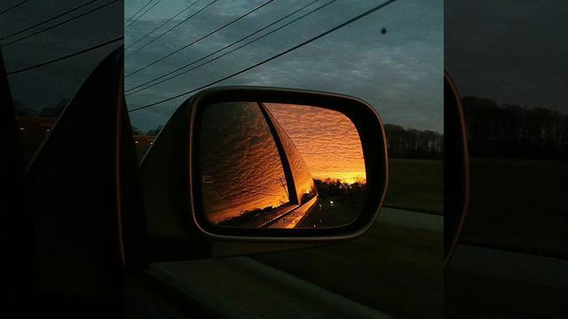 JANAGA- В комнате марк.