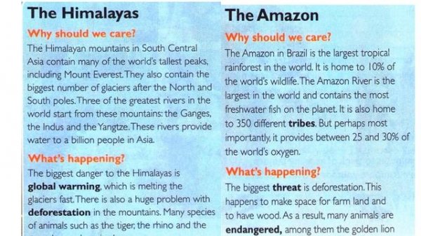9 grade. Unit 3:  Earth and our place in it.Theme: Reading. Stop  Before it's too late