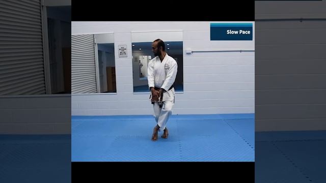 Tekki Shodan Kata смотреть онлайн