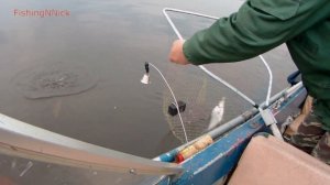 Поставил крючки меньшего размера и началось... Рыбалка на подпуск