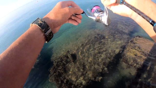 Первый черноморский Луфарь! Отличный клев на Черном Море! смотреть онлайн