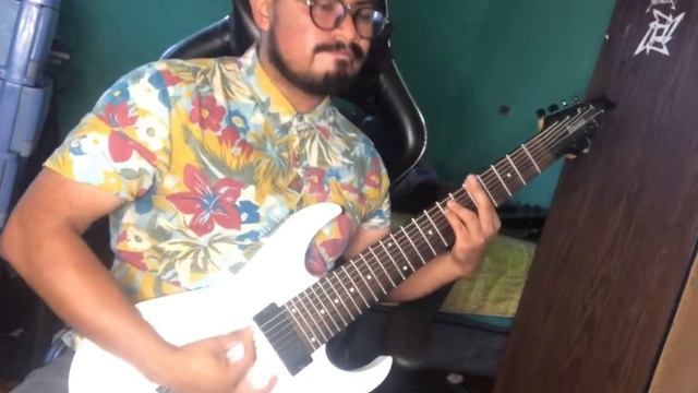 MESHUGGAH - Immutable Teaser Guitar Cover смотреть онлайн
