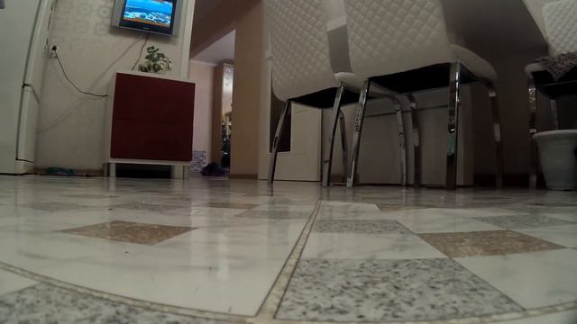 Кот делает АПОРТ смотреть онлайн
