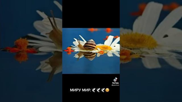 Как прекрасен этот мир! Посмотри. смотреть онлайн