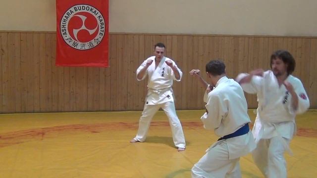 Ката в каратэ | Каратэ ашихара Будокай смотреть онлайн