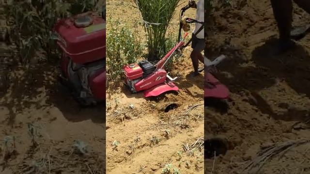 Using honda fj 500 power weeder in date orchard смотреть онлайн