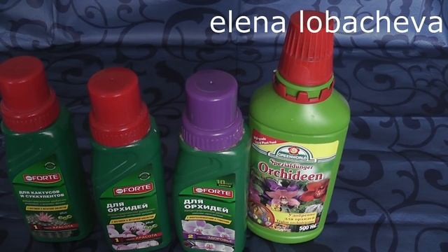 Удобрения для орхидей. Чем я удобряю свои орхидеи. смотреть онлайн