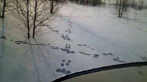 Снегоход Буран с дв.Лифан 17л.с.