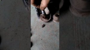 Джилли Мк кросс Шаровая