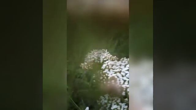 это не я тебя люблю а поступки 😎❤️❤️❤️❤️ полное видео смотреть онлайн