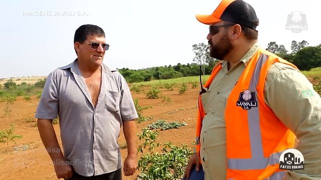 A NOVA MELHOR ARMADILHA DO BRASIL PARA JAVALIS É INACREDITÁVEL смотреть онлайн