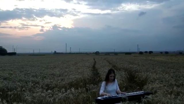 Ballade Pour Adeline Piano- Paul de Senneville смотреть онлайн