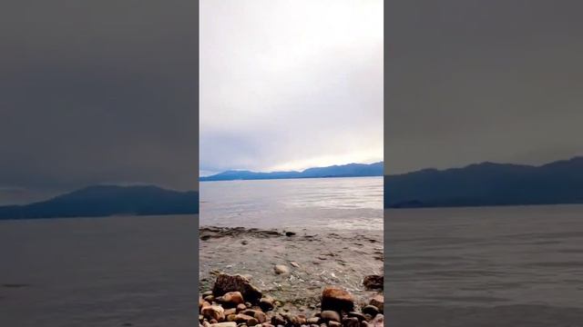 Пока ловили рыбу на Байкале, всё время жгли #костёр чтобы #медведь не подходил близко #мояпланета смотреть онлайн