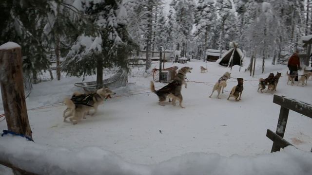 Levi Lappland FinLand - Skiin in Mountains смотреть онлайн