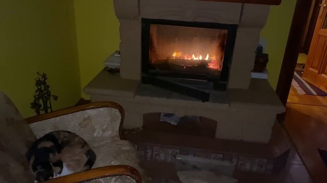 Топлю камин на даче / поговорим о нашей жизни смотреть онлайн