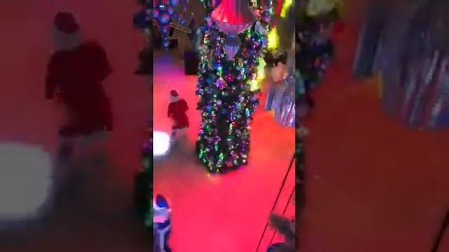 Шураня Александр С Рождеством ? в Золотое руно смотреть онлайн