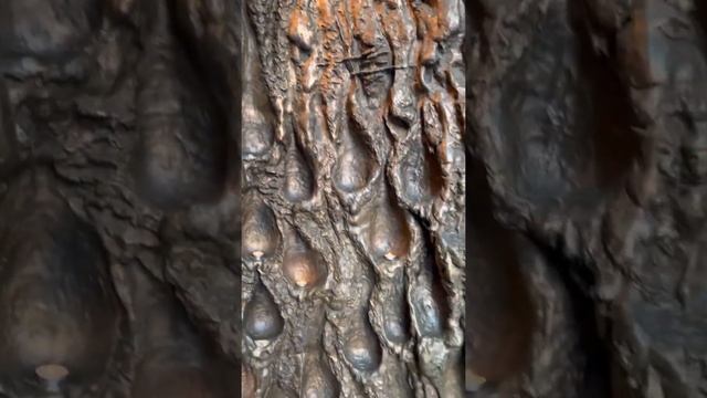 Памятник матерям победителей смотреть онлайн