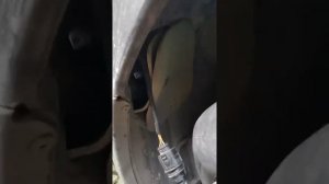 Замена лампы ДХО (дневные ходовые огни) на Datsun mi-DO.