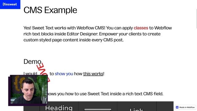 Add styles to Webflow CMS Rich Text field | Sweet Text for Webflow смотреть онлайн