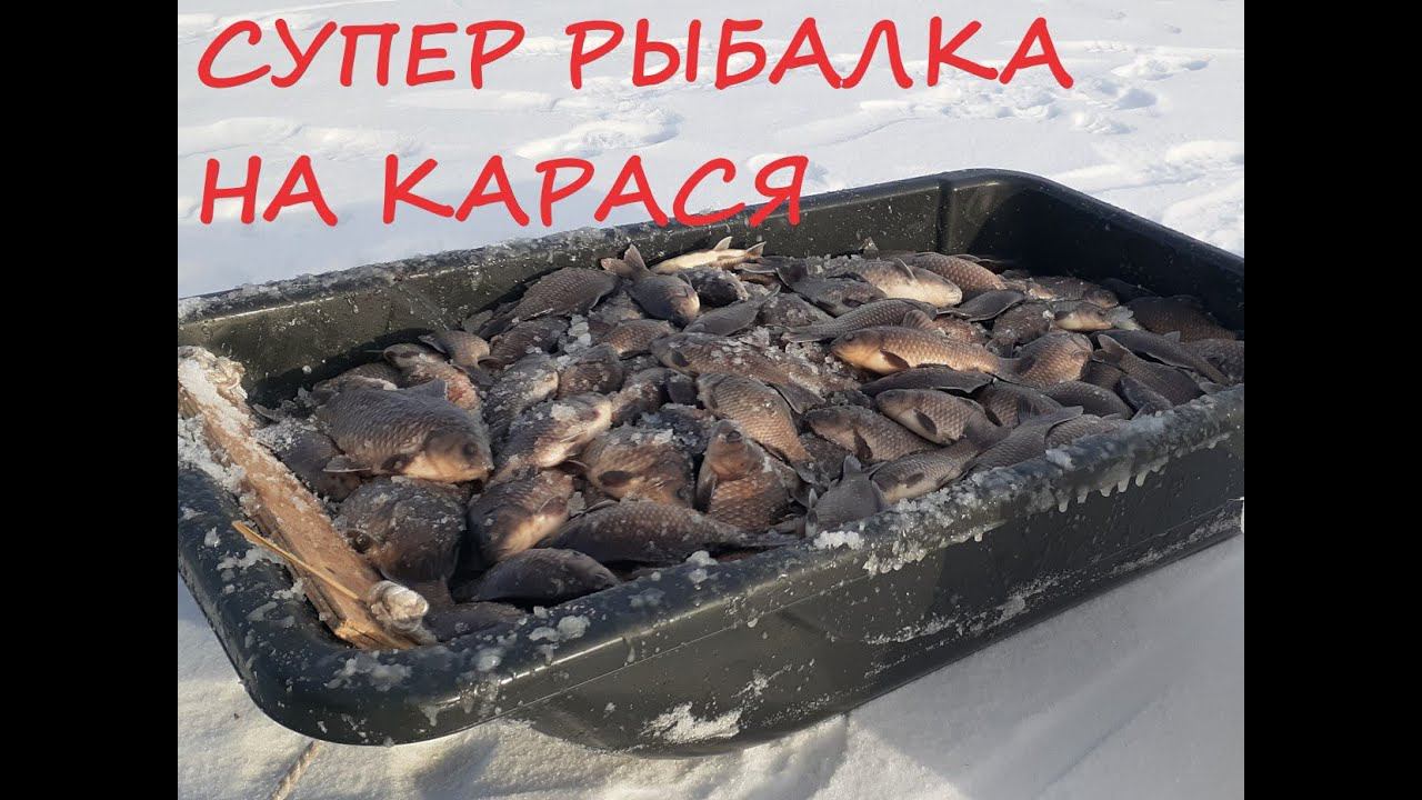 рыбалка на карася зимой смотреть онлайн