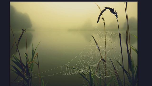 "Ночка луговая" Слова А.Пришельца, Музыка Г.Дехтярова, Исполнение и монтаж ролика НаталИя Ежкова