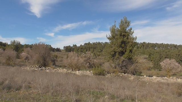 01.03.20 Чудесный мир природы, животных и птиц! смотреть онлайн