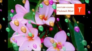 АФФИРМАЦИЯ НА ОЧИЩЕНИЕ от всех негативных программ