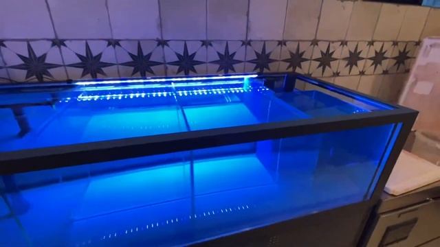 Аквариум для живой рыбы смотреть онлайн