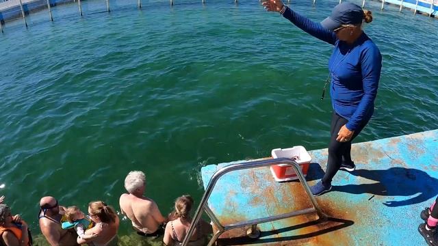 Catamaran Excursion To Cayo Blanco From Varadero With Dolphins & Snorkeling 2023 Part 1